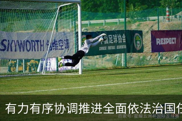 有力有序协调推进全面依法治国任务落实（权威发布·开局起步“十五五”）